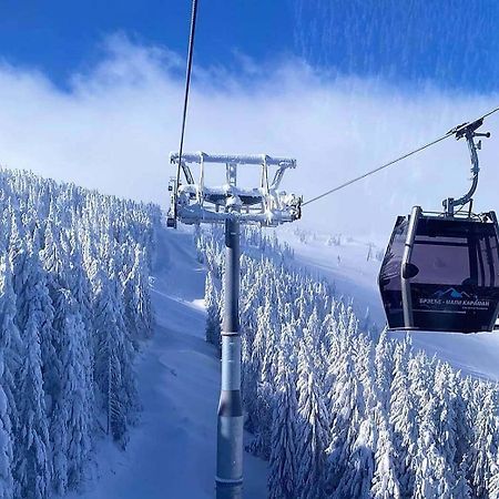Apartments Foka & Spa - 600M From Gondola Ski Lift Kopaonik Exterior photo