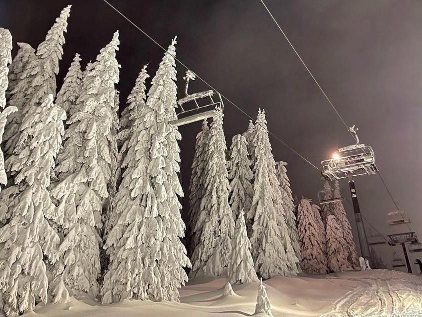 Apartments Foka & Spa - 600M From Gondola Ski Lift Kopaonik Exterior photo