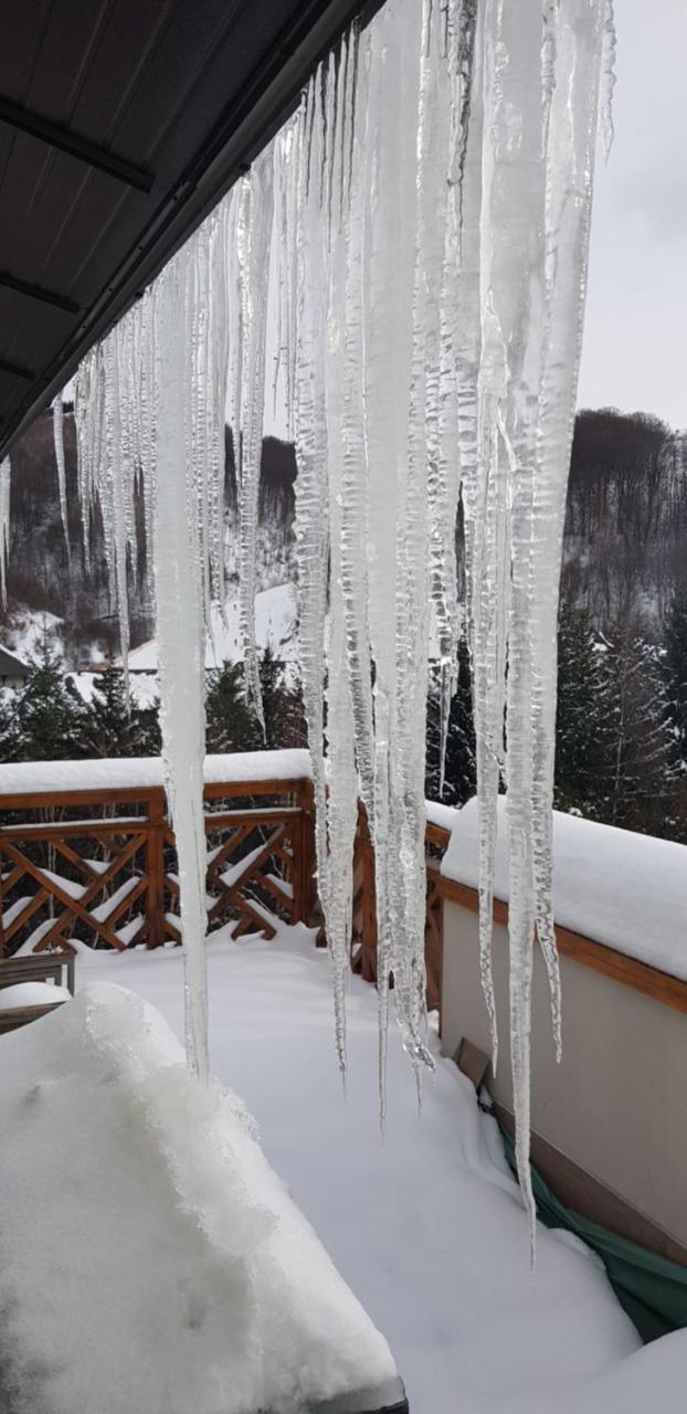 Apartments Foka & Spa - 600M From Gondola Ski Lift Kopaonik Exterior photo